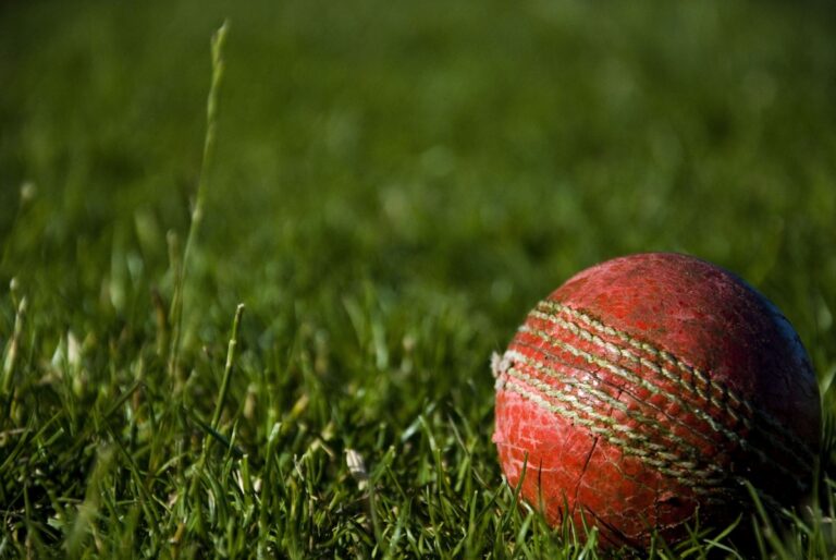 Cricket bat and ball on pitch - Test cricket scoring guide