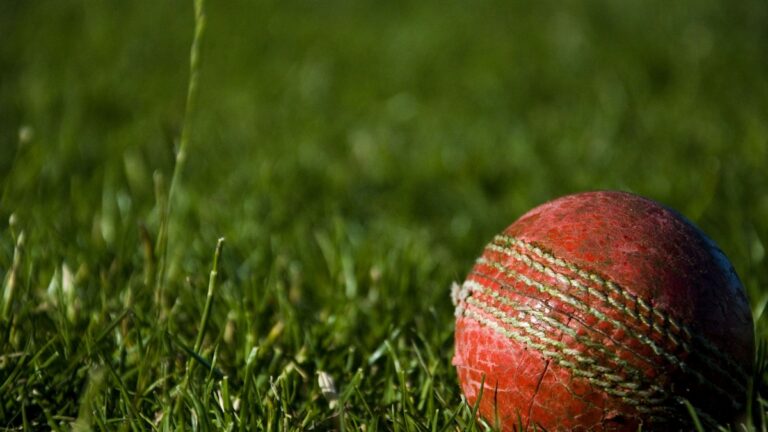 Cricket in 2026: The Evolution We Never Saw Coming